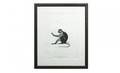268 Audebert Engraving of Monkey With Hand Up