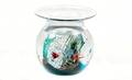 575 Elio Raffaeli Italian Crystal Glass Fishbowl