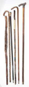 A Collection of Six Canes and Walking Sticks
