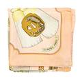 An Hermes Silk Scarf