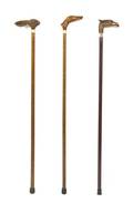 Three Walking Sticks