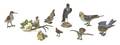 A Collection of Continental Cold Painted Bronze Birds