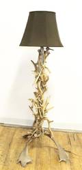 An Antler Floor Lamp