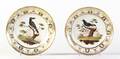 A Pair of French Ornithological Cabinet Plates