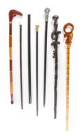 A Collection of Seventeen Various Canes and Walking Sticks