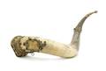 A Gilt Metal Mounted Steer Horn