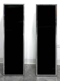 A Pair of Mirrored Pedestals