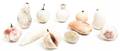Eleven Hardstone Decorative Models of Fruit