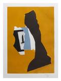 Robert Motherwell