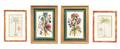 Four Framed Botanical Articles