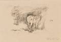 James Abbott McNeill Whistler American 18341903 Study of a Horse