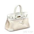 White Leather and Canvas Birkin Handbag Hermes