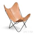 Jorge FerrariHardoy Butterfly Chair