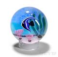 Baccarat Angelfish Paperweight