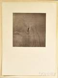 After Harry Callahan American 19121999 Waters Edge
