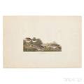 Audubon John James 17851851 Shore Lark Plate CC