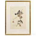Audubon John James 17851851 Rice Bunting Plate 54