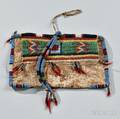 Plains Beaded Hide Work Bag