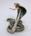 135 BERGMAN COLD PAINTED BRONZE FIGURE OF A COBRAAust
