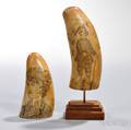 Two Scrimshawdecorated Whales Teeth