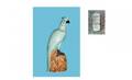1123 Chinese Celadon Glazed Cockatoo perched on a stum