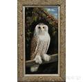 American School 19th Century Portrait of an Owl