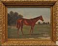 American School 19th Century Portrait of a Horse