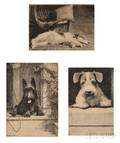 Morgan Dennis American 18921960 Three Scenes with Terriers When a Black Mans Blue