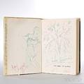 Meyer Franz 19192007 Marc Chagall Life and Work Signed and Inscribed Copy with a Drawing