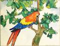 176A Jane Peterson American 18761965 Parrot s