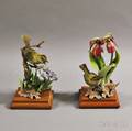 Pair of Dorothy Doughty Royal Worcester Porcelain Oven Birds