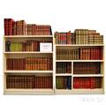 Extensive Collection of Books