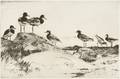 Frank Weston Benson American 18621951 Turnstones
