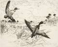 Frank Weston Benson American 18621951 Mallards No 2