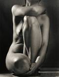 Ruth Bernhard American 19052006 Classic Torso