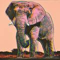 Andy Warhol American 19281987 African Elephant