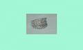 1192 Diamond and 14kt White Gold Ladies Ring AGOPB Wi