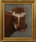American School c 1870 Portrait of a Bull