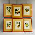 Set of Six Framed Pear Prints