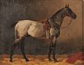 Emil Volkers German 18311905 Portrait of a Gray Horse in a Stable