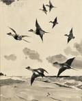 Frank Weston Benson American 18621951 Pintails in Flight