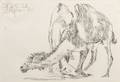 Ismail Gulgee Pakistani 19262007 Study of a Camel