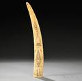Scrimshawdecorated Walrus Tusk