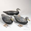 Three Large Black Duck Decoys