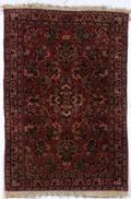 Sarouk Rug