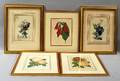 Five Botanical Prints Anemones Roses