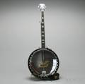 Fivestring Harmony Banjo