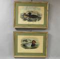 Two Framed Gould and Richter Handcolored Duck Prints