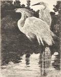 Frank Weston Benson American 18621951 Snowy Herons