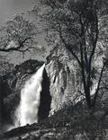 Ansel Adams American 19021984 Yosemite Falls Spring Yosemite National Park California